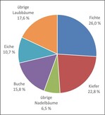 Abb.  1: Flächenanteile wichtiger Baumarten im deutschen Wald (Datenquelle: BWI³, https://bwi.info/).