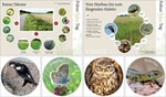 Abb. 2: Bildtafeln und Artenaufkleber unterstützen den Berater bei der Erläuterung und Visualisierung von Naturschutzmaßnahmen.<br /> Pictures and stickers of species support the consultant in explaining and visualizing nature conservation measures.