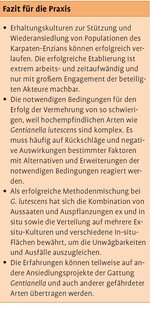 Erhaltungskulturen zur Wiederansiedlung des Karpaten-Enzians im Osterzgebirge