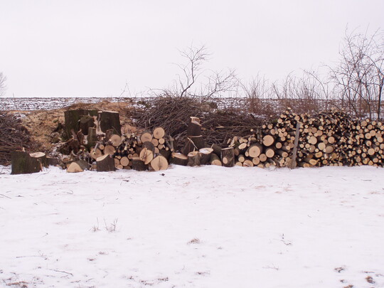 Die hier sichtbare Holzmenge demonstriert auch den Arbeitsaufwand einer Heckenpflege. Alle Arbeiten werden in Handarbeit durchgefhrt, um die Kleinstrucher zu schonen.