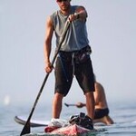 500 Kilometer in fünf Tagen - Das ist das Ziel der Athleten, um Spenden für die Rettung der Adria-Delfine zu sammeln.