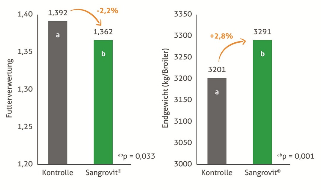 Abbildung 2: Freie Universit�t Berlin, Deutschland, Versuch mit Cobb 500 Broilern, Tag 42