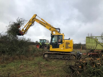 Mit groem Gert werden die Teilflchen im Hainich entbuscht.