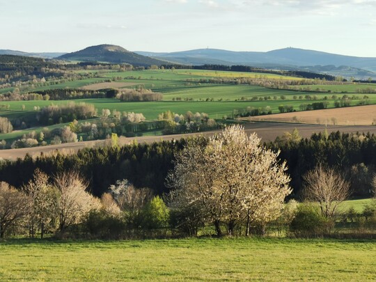 Der Blick von der Phlbergalm in Richtung Erzgebirsgkamm, im Hintergrund der Brenstein, 
der Fichtelberg und der Keilberg auf tschechischer Seite.