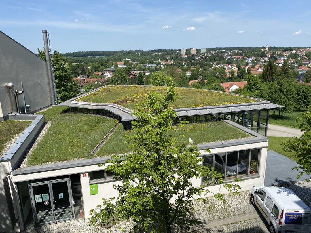 Auch ohne Energiegewinnung ist ein begrntes Dach ein Mehrwert zu Teerpappe oder Kiesflche. Auch kleinste dachflchen lassen sich begrnen. Die Technik ist ausgereift und ber Jahrzehnte erprob.
