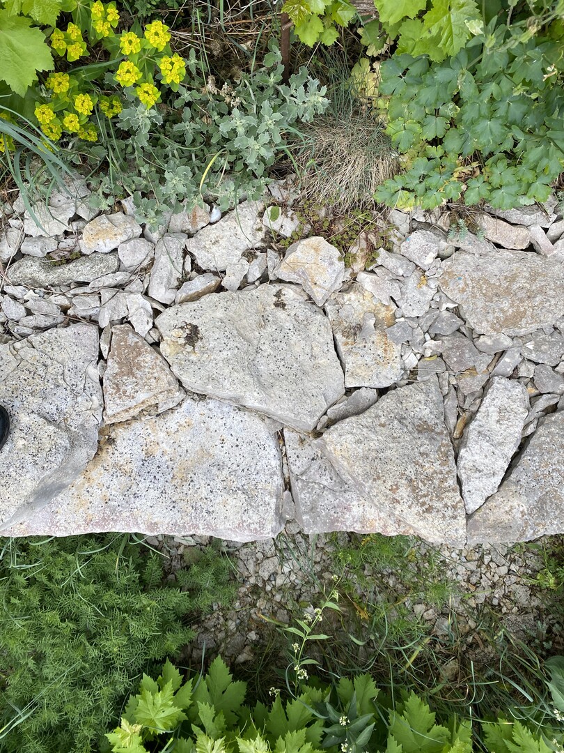 Deutlich ist hier zu erkennen, wie durch die Mauertechnik eine Vielzahl an Lebensrumen entsteht: Die erste Lage ist mit einer zweiten Lage, meistens den Resten der Steinbearbeitung und dem mitgelieferten Bruch, hintermauert. Mauerkrone und Mauerfuss sind ebenfalls mit Abfllen der Steinbearbeitung gestaltet.