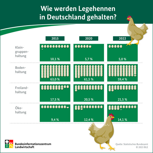 Die aktuelle BZL-Infografik beschäftigt sich mit der Frage, wie Legehennen in Deutschland gehalten werden.