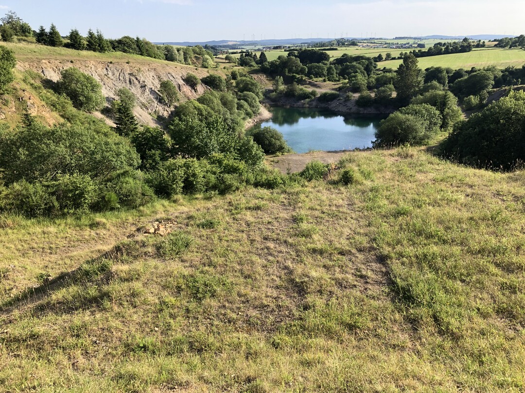  Auch fr Steinbrche gilt das, was bereits fr Sand- und Kiesgruben gesagt wurde: Schon zu Abbauzeiten sind sie ganz besondere Biotope. Zwar stellen sie immer auch einen Eingriff dar, aber steile Wnde, vegetationsfreie Freiflchen, Schotterfcher, Ruderalfluren, temporre Wasserflchen oder Tmpel bieten zahlreichen Arten einen Lebensraum, die in der ausgerumten Landschaft keinen Platz mehr finden. Absprachen mit den Betreibern, helfen den Biotopwert zu optimieren. 