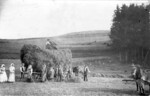 Abb. 1: Heuernte auf der östlichen Schwäbischen Alb im Jahr 1919 (privat).