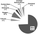 Abb. 5: Prozentuale Verteilung der Energiepflanzen, die als Gärsubstrat für die Biogasanlagen bereitgestellt werden (Grundgesamtheit 2770 ha, n = 76 befragte Betriebe).