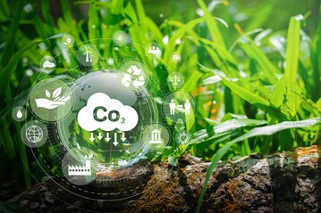 Der neue Bericht des Global Carbon Projects verdeutlicht die weltweiten hohen CO2-Emissionen.