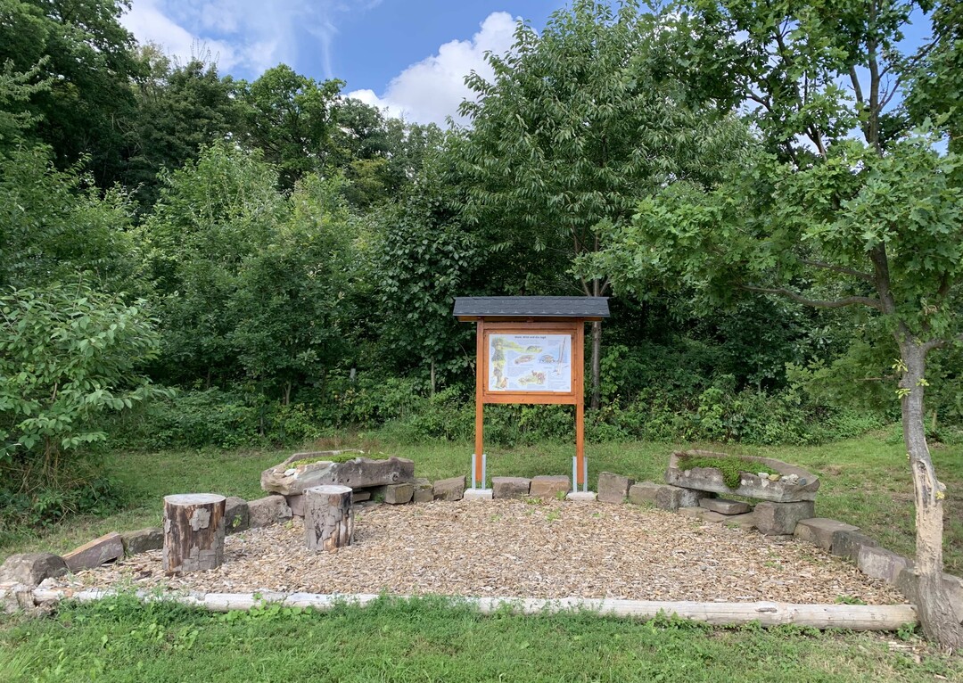 Infotafeln klren darber auf, was im Wald passiert.