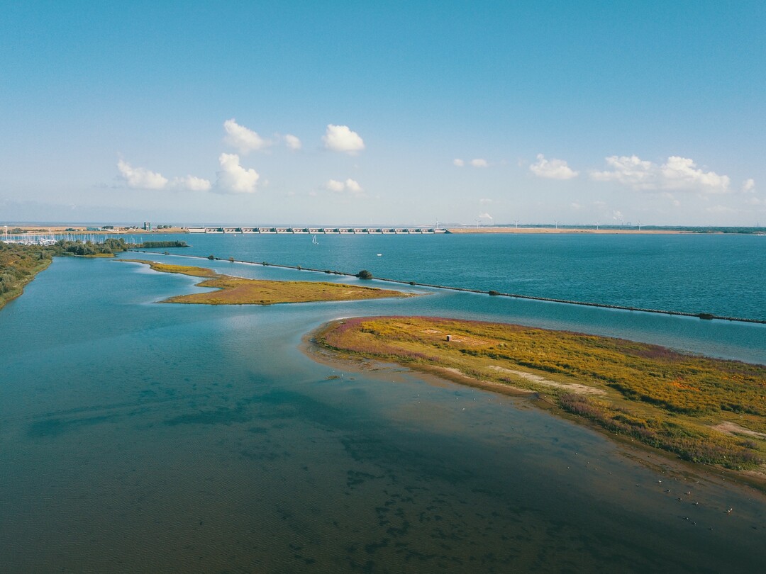 Die teilweise ffnung der Haringvliet-Schleuse erhht die Durchgngigkeit fr Wanderfische.