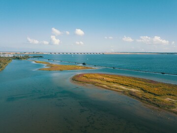Die teilweise ffnung der Haringvliet-Schleuse erhht die Durchgngigkeit fr Wanderfische.