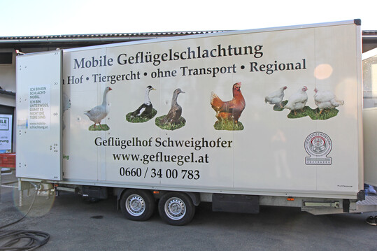 Die TiHo sucht noch nach Teilnehmern für das MuD Projekt zur (teil-)mobilen Schlachtung.