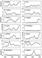 Abb. 1a: Abundanzschwankungen in der Untersuchungsregion Märkisches Sauerland. Individuenzahlen entlang von 23 Transekten, standardisiert auf 200 m.