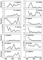 Abb. 1b: Abundanzschwankungen in der Untersuchungsregion Westliches Weserbergland. Individuenzahlen entlang von acht Transekten, standardisiert auf 200 m.