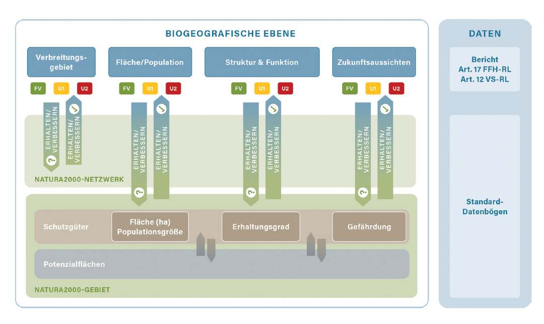 Die erforderlichen gebietsspezifischen
Erhaltungsziele lassen
sich aus den Einstufungen der
Erhaltungszustandsparameter
auf
biogeografischer Ebene ableiten.
Fr jedes Gebiet kann auf diese
Weise der Beitrag zur Erreichung
einer gnstigen Bewertung dieser
Parameter festgelegt werden.