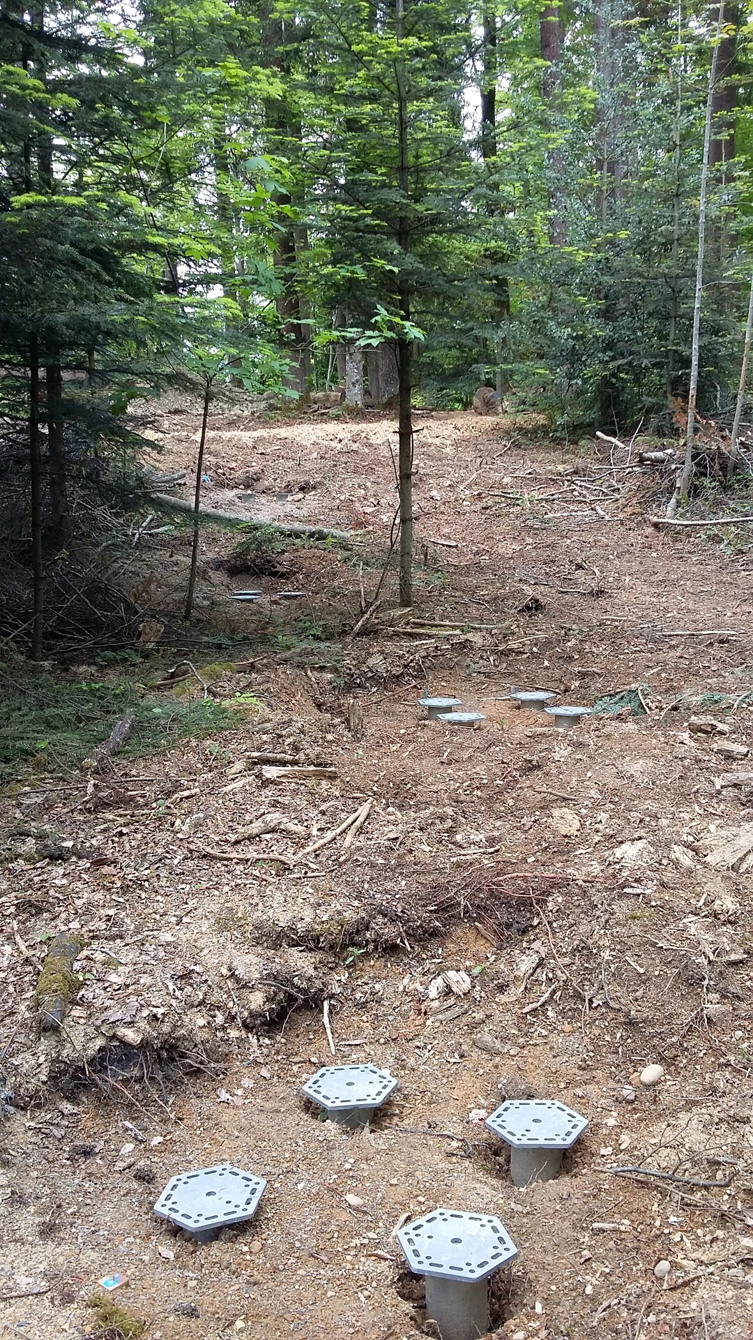 Auf sthlernen Fen steht der Baumwipfelpfad Neckertal. Dank der Schraubfundamente von Krinner gelang eine minimalinvasive Fundamentierung.