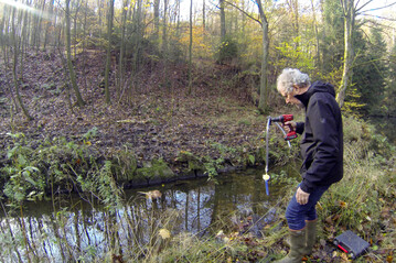 Prof. Dr. Christopher Bridges vom HHU-Institut fr Stoffwechselphysiologie/ Ecophysiology entnimmt Wasserproben am Hasper Bach, um darin mittels des neuen SDT-Verfahrens Spuren von Lachs-DNA zu suchen.