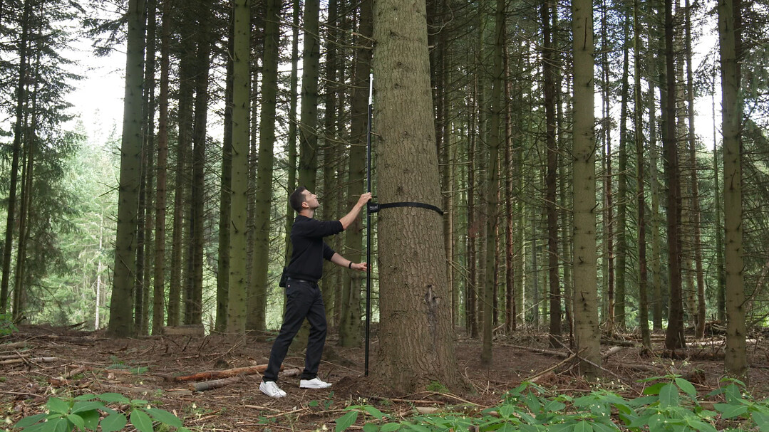 Industriedesigner Konstantin Wolf gewinnt James Dyson Award mit Projekt zur Landzeitüberwachung von Wäldern.