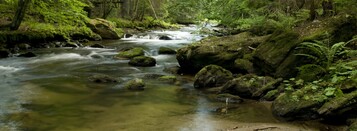 Mittelgebirgsbach im Nationalpark Bayerischer Wald