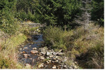 <strong>Abb. 12: </strong>Naturnaher Bach entlang der deutsch-tschechischen Grenze. © Ralf-Uwe Syrbe Near-natural stream along the German-Czech border.