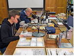 Die ehrenamtlichen Mitglieder des Entomologischen Vereins bei der Arbeit.