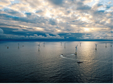 Abb. 1: Das Ttungsrisiko fr Zugvgel durch Offshore-Windparks lsst sich mittels Monitoring bestimmen.