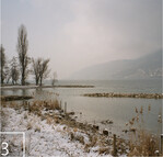 3 Revitalisierung des Seeufers bei Ipsach am Bielersee