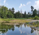 5 Die Alte Aare nach der Revitalisierung. Das Gewässer wird regelmäßig gepflegt.