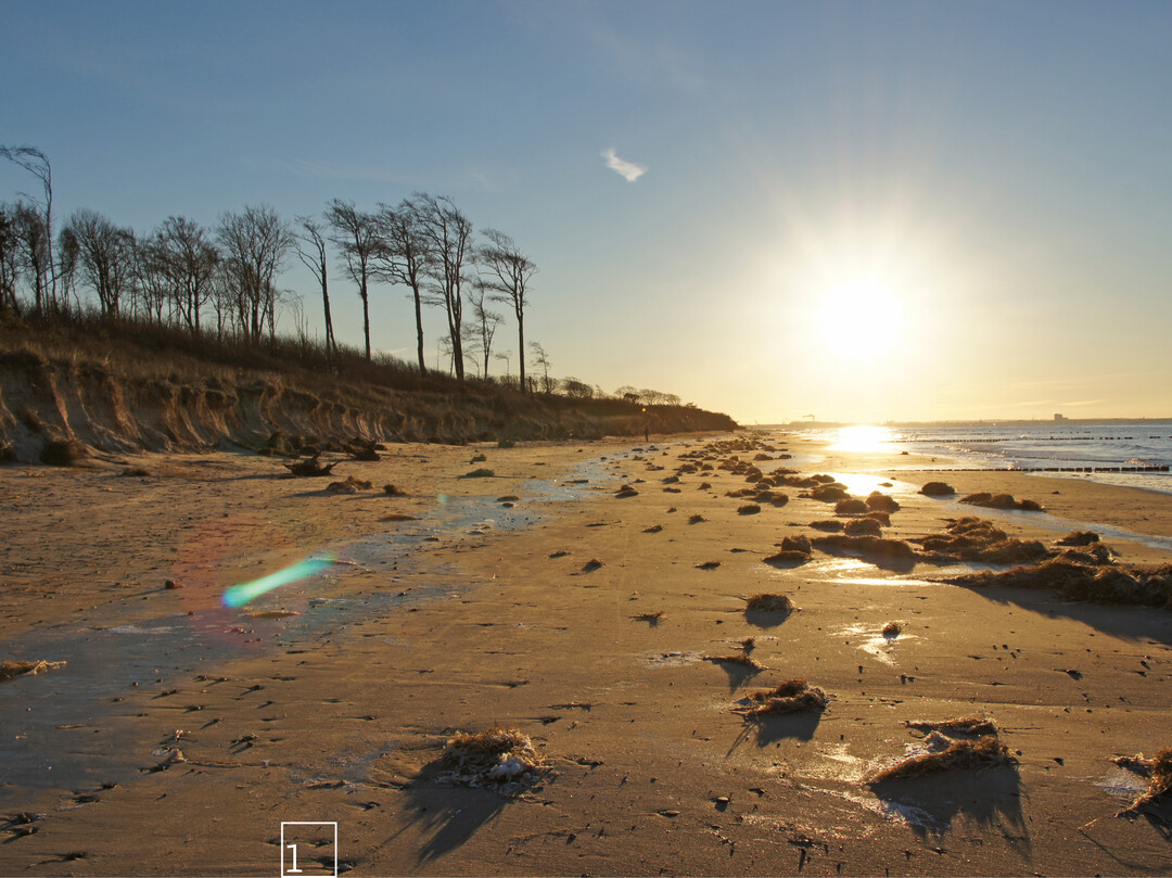   1 Winterstimmung am Ostseestrand der Rostocker Heide, im westlichen Teil des Projektgebiets  