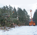 2 Die neu entwickelte Seilkrantechnik des Verbundpartners Stadtforstamt Rostock ermöglicht die bodenschonende Bewirtschaftung nasser Waldflächen auf Moorböden.