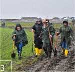 3 Naturbegeisterte aus Rambin pflanzen eine Gehölzhecke am Rand des renaturierten Polders Drammendorf.