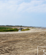 5 Rückverlegter Deich im Westen Rügens: Die Wiesen vor dem Deich können nun wieder überspült werden und sich zu Salzwiesen entwickeln.