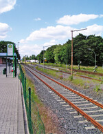 Abb. 5: Bahnanlagen aller Art (hier im Kreis Gütersloh, NRW) sind typische Lebensräume gebietsfremder Mauereidechsen.