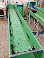 5 In langen Brutrinnen werden die Larven bis zum Aussetzen aufgezogen.