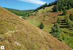 Abb. 1: Landschaftsbild mit Trockener Heide an sehr steilen, flachgründigen Hängen auf circa 850 m NN.