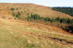 Abb. 8: Herbstliche Ansicht des Mittelbucks (Feldberg). Komplex aus Borstgrasrasen, Trockenen Heiden und Niedermoor. Vorne rechts: Brache mit dominierender Heidelbeere und Gehölzsukzession. Im Hintergrund (dunkle Vierecke) gemulchte Heiden.