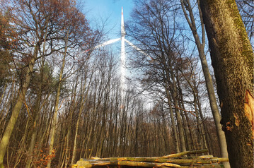 Windenergieanlage im Wald
