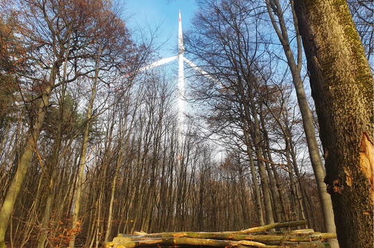 Windenergieanlage im Wald