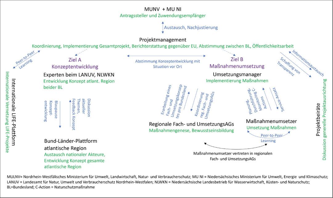 Abb. 1: Akteurskonstellation in IP-LIFE-Sandlandschaften. Schwarz = Bezeichnung Akteur, Grn = Aufgabe des Akteurs, Blau = Wechselwirkung mit anderen Akteuren.