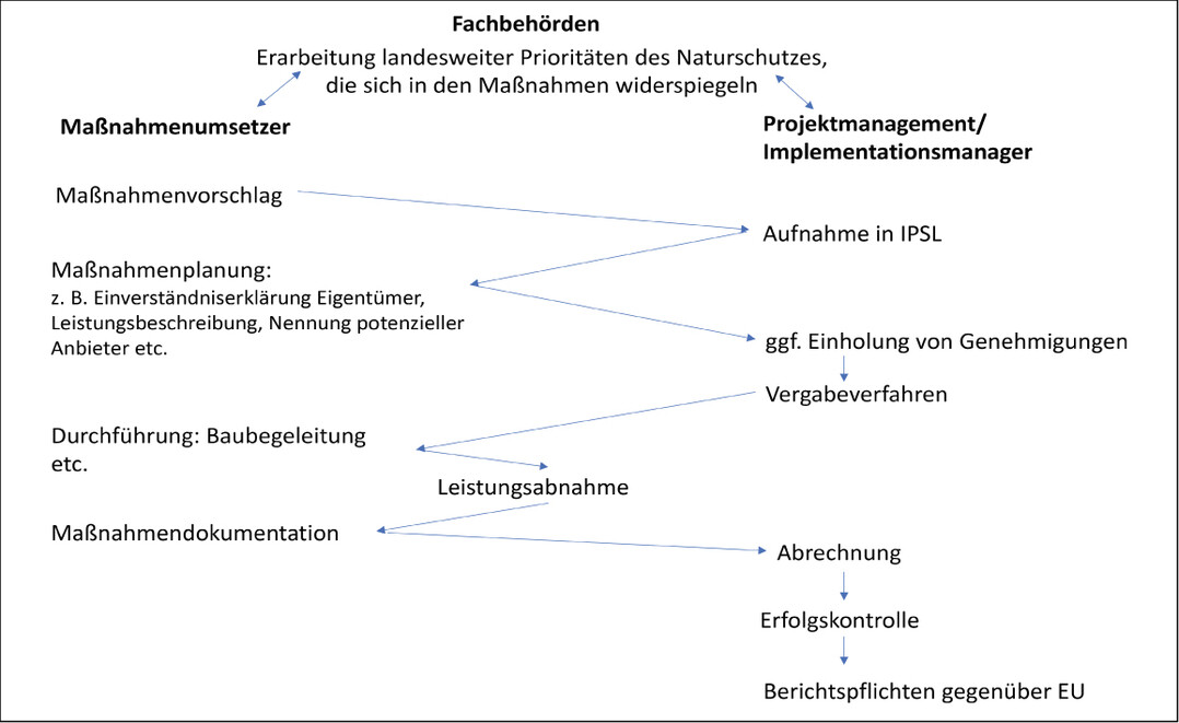 Abb. 2: Schematischer Ablauf der Umsetzung von Manahmen