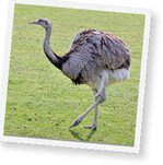 Foto: wikimedia commons/Quartl