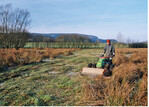 Abb. 4: Bei Entwicklungsmaßnahmen im Grünland hängt die Funktionsfähigkeit der Maßnahme in der Regel von einer regelmäßigen Pflege/Betreuung ab.