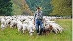 In Zusammenarbeit mit Hüteschäfern soll die Kulturlandschaft im Werratal erhalten werden.