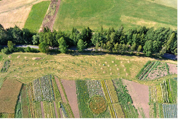 Abb. 1: Die Soziale Landwirtschaft verwendet vorwiegend biologisch-kologische Anbaumethoden, wie hier am Beispiel der Sozialgenossenschaft Terre Altre im Fleimstal, Provinz Trient (Italien).