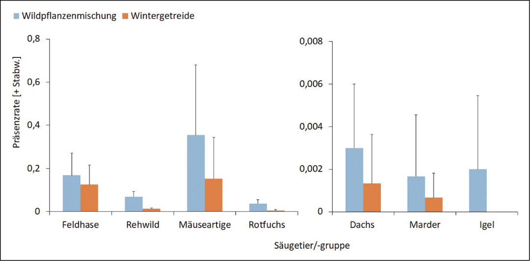  Abb. 4. Prsenzraten (+Stabw. = Standardabweichung) verschiedener Sugetiere und Sugetiergruppen im Vergleich auf ckern mit Wildpflanzenmischungen und Wintergetreide, gemittelt ber den gesamten Zeitraum der Datenaufnahme in der Wintersaison 2014/2015. 