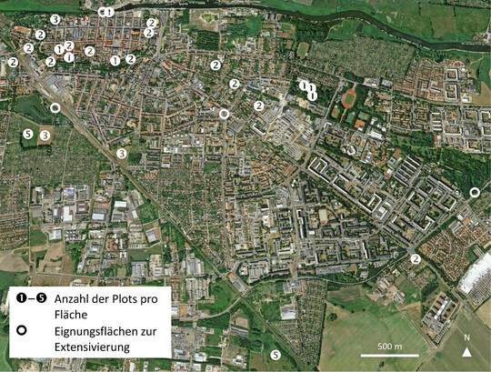  Abb. 1: Lage der 25 Untersuchungsflchen im Greifswalder Stadtgebiet und empfohlene Eignungsflchen fr extensivierte Pflege. Die Anzahl der Plots pro Flche bemisst sich nach deren Ausdehnung: 02.000 m = 1, 2.00115.000 = 2, 15.00160.000 = 3, 60.00190.000 = 4 (nicht vorhanden), >90.000 = 5 Plots. 