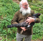 5 Auch beim Auerhuhnschutz engagiert sich der Ornithologe.